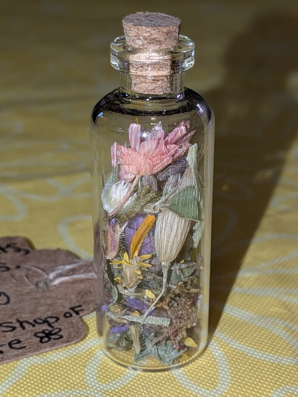 Tiny Handmade Terrarium - Picture 3 of 5